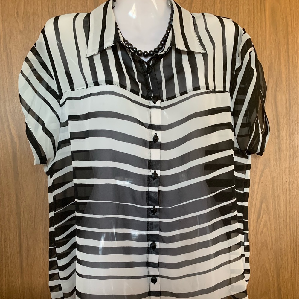 Lily Star Stripes See Through Blouse